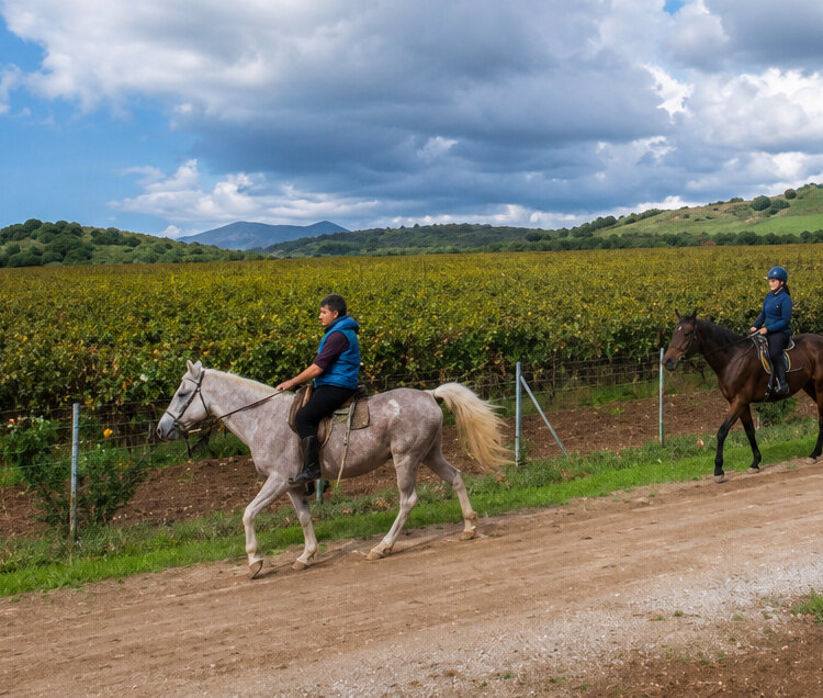 Person reitet auf einem Feldweg neben Weinberg und grünen Hügeln.