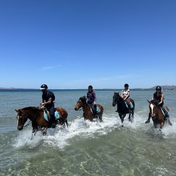 Vier Personen reiten auf Pferden durch flaches Meerwasser bei klarem Himmel.