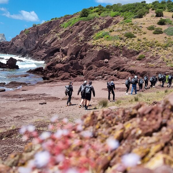 Group of hikers walking along rocky coastline with vegetation and sea.