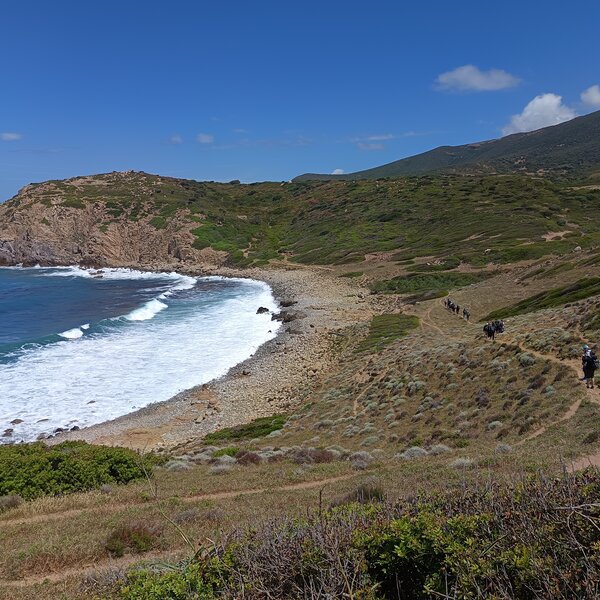 Rocky coast with waves crashing and hikers on a trail