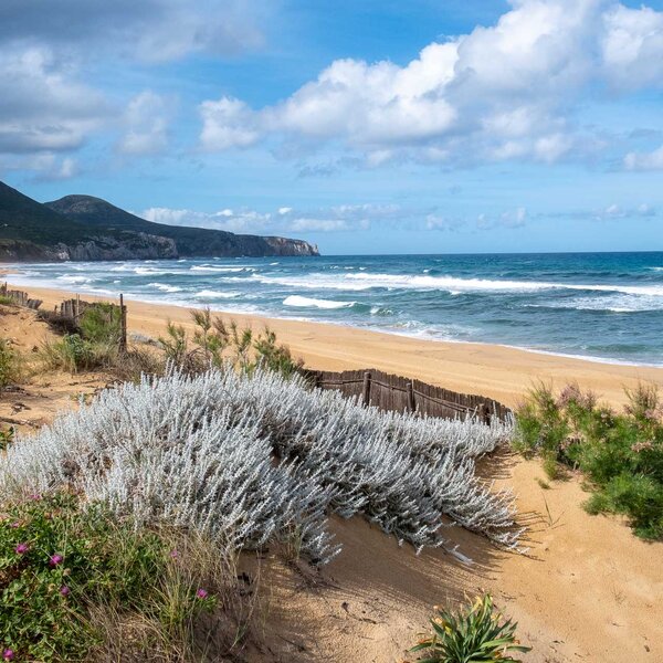 Sandy beach with plants and wavy sea under partly cloudy sky