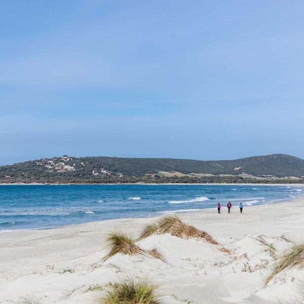 Sandy beach with three people walking near the sea and hills in the background.